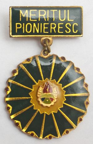 Caut orice fel de efecte pionieresti - imagine 3