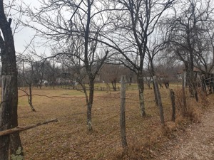 Vand teren 2911mp intravilan,sat Brebu, jud.Dambovita 13euro negociabil - imagine 3