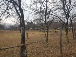 Vand teren 2911mp intravilan,sat Brebu, jud.Dambovita 13euro negociabil - imagine 6