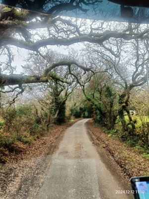 Servicii de transport dedicate producător locali din regiunea Nord-Est