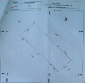 Vând teren în zona Măgurele - imagine 2