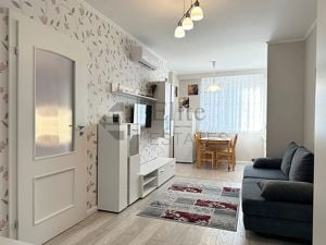 Apartament cu 2 camere de inchiriat in ARED, Oradea - imagine 12