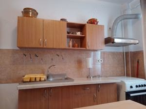 Inchiriez apartament, etaj1 turnisor frunzei - imagine 2