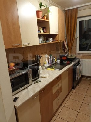 Apartament 2 camere, Vasile Aaron - imagine 9