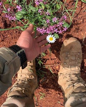 Secretara ...     Dactilograf urgent pentru ajutor scriere o carte