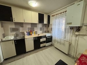 Apartament de inchiriat, 2 camere, 55 mp, etaj 3, zona Independentei - imagine 5