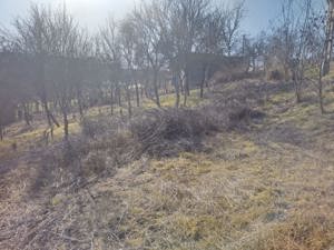 Vând teren intravilan - imagine 3