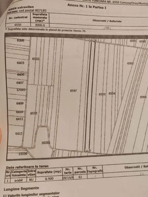 Teren de vânzare  agricol - imagine 2
