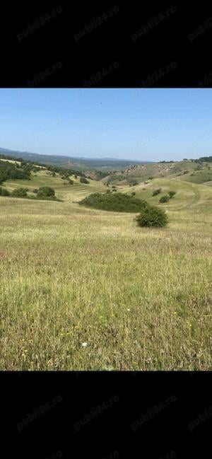 Teren extravilan în Luna de sus 