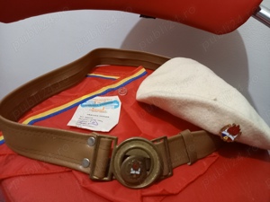 Articole pionieresti