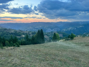 Teren in Muntii Apuseni 4500 mp Intravilan