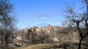 Teren intravilan 3.269 mp în Slimnic–panorama superbă, 15 km de Sibiu - imagine 3