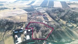 Teren intravilan 3.269 mp în Slimnic–panorama superbă, 15 km de Sibiu - imagine 11