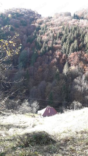 Cabana de vanzare in peisaj idilic intr-un sat de rasfirat de munte in Apuseni - imagine 3