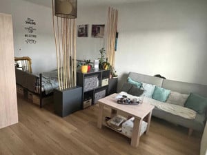 Apartament 1 camera in Marasti