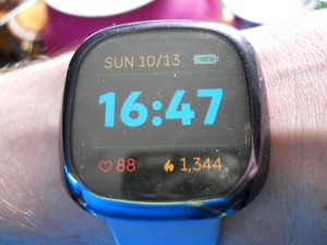 Ceas Fitbit Versa 3 - imagine 3