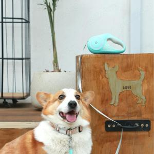 Lesa pentru caini talie mica si mijlocie, retractabila automata, multifunctionala, cu lumina LED, 5m - imagine 3