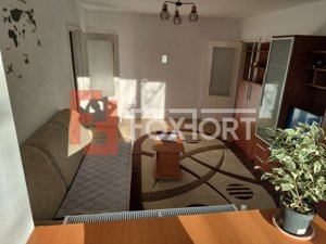 Apartament de inchiriat cu 2 camere, 54 mp, zona Dambovita - imagine 2