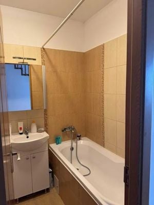 7 Noiembrie - Inchiriere apartament 1 camera - Str. Faget - imagine 8