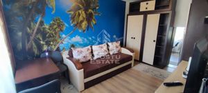 Apartament cu 1 camera, etaj intermediar,zona Dambovita - imagine 3