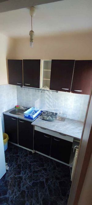 Apartament cu 1 camera, etaj intermediar,zona Dambovita - imagine 4