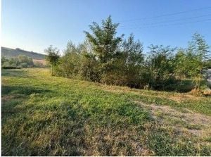 Teren partial intravilan Romani, judetul Neamt, ID: R2326723