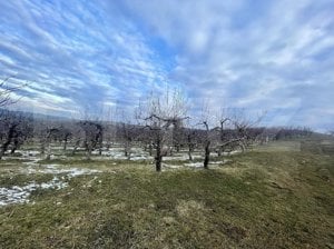 Teren extravilan - Livadă - 21.500mp - Fălticeni