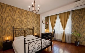 Apartament 2 camere LUX Herăstrău - imagine 5