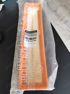 Filtru Aer Renault Dacia 165461599R