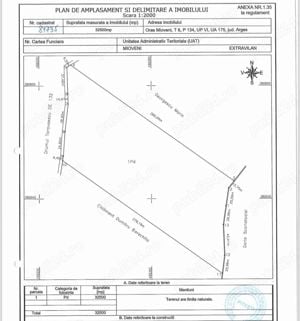 Vand 3,25 hectare padure jud. Argeș, zona Inculești - imagine 2