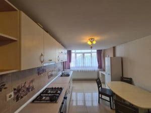 Apartament 2 camere / curte privata / Sibiu - imagine 3