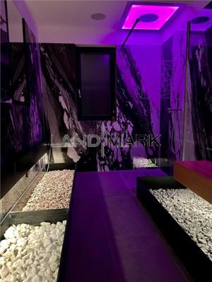 COMISION 0% SAD Business la cheie SPA Dumbravita padure - imagine 3