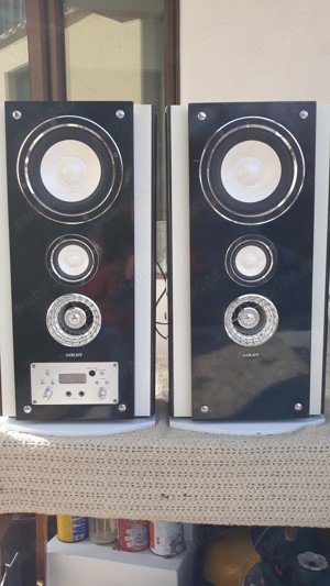  boxe active goldy cu radio am,fm,aux,microfon