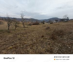 Teren intravilan extravilan suprafață 1529 m in comuna golești sat blidari deasupra de calea ferata - imagine 5