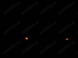 Plafoniera cu lumini ambientale/senzori alarma/lumini de citit FORD focus,mondeo,c-max,fusion,fiesta - imagine 8