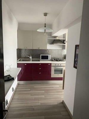 Unirii-Bld. Unirii-Rond Alba Iulia - apartament 2 camere   - imagine 9