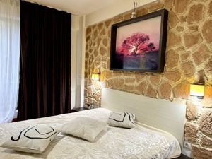 Garsoniera cocheta, Centrul vechi PET FRIENDLY