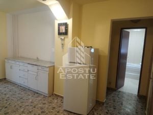 Apartament 2 camere, centrala proprie, Lipovei - imagine 9