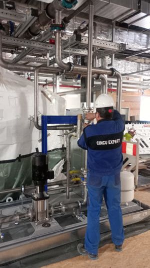 Hale metalice, porți, garduri, case - imagine 2