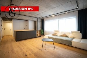 Apartament 2 camere - Brick Loft - zona Floreasca 