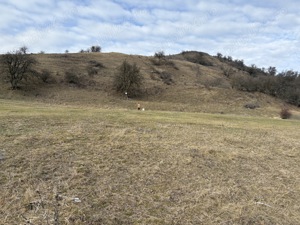 Teren extravilan cu vedere panoramică 