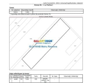 Teren pentru constructie case langa padure, Sabareni - imagine 4