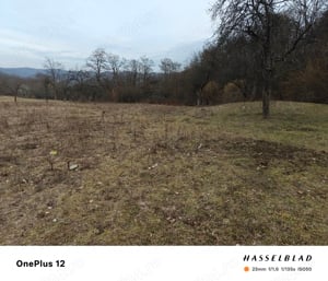 Teren extravilan o oaza de liniște înconjurat de pomi verdeață și pădure cu suprafața de 3500m - imagine 6