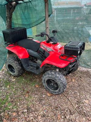 Polaris TrailBoss 330 an 2009 - imagine 2