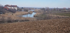 Intravilan vedere la lacul Snagov zona de vile noi