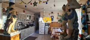 Casa de vanzare 5 camere 320 mp teren Centru zona Prefecturii - imagine 3