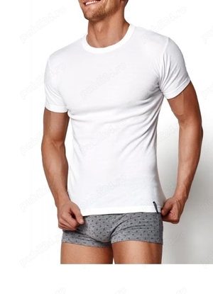 Caut tanara studenta