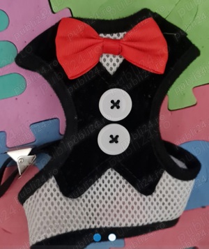 Litiera*+geanta pisicute  - imagine 3