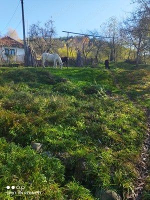 Casa.de.vinzare.la.tara