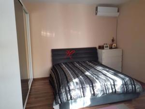 Vanzare VIla cu comercial si apartament, Bucuresti Noi- Gloriei - imagine 9